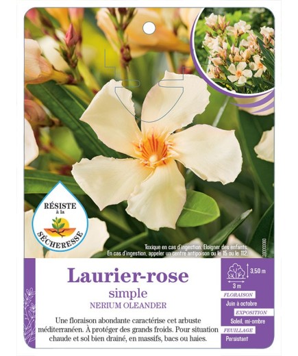 NERIUM OLEANDER voir Laurier-rose simple (jaune)