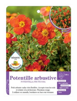 POTENTILLA FRUTICOSA voir Potentille arbustive (rouge)