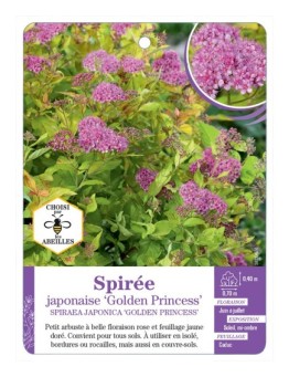 SPIRAEA JAPONICA GOLDEN PRINCESS voir Spirée japonaise