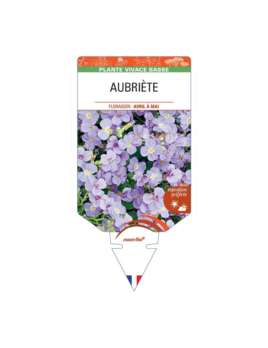 AUBRIÈTE (bleu clair) *
