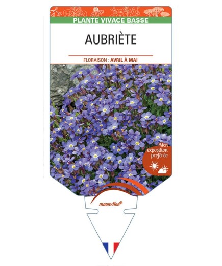 AUBRIÈTE (bleu)