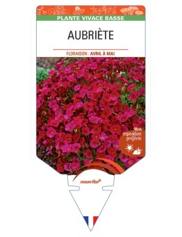 AUBRIÈTE (rouge)
