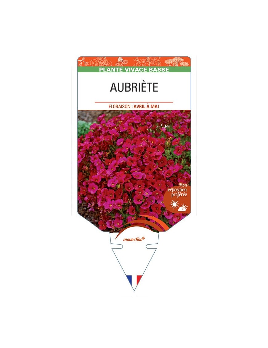 AUBRIÈTE (rouge)