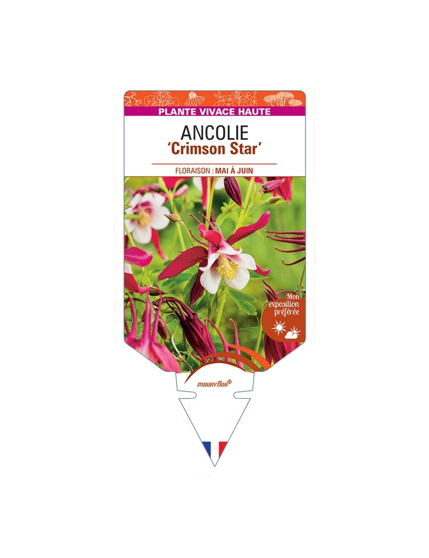 ANCOLIE Crimson Star