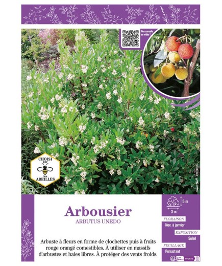 ARBOUSIER ARBUTUS UNEDO