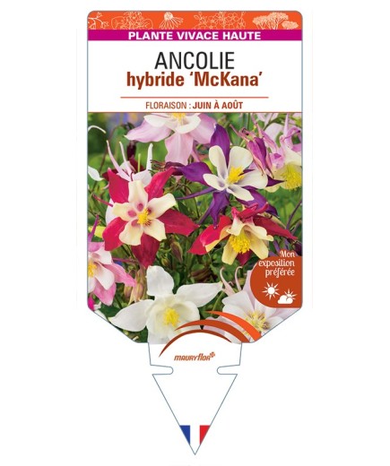 ANCOLIE hybride McKana