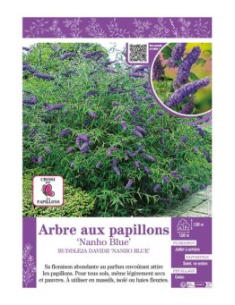 BUDDLEJA DAVIDII NANHO BLUE voir ARBRE AUX PAPILLONS