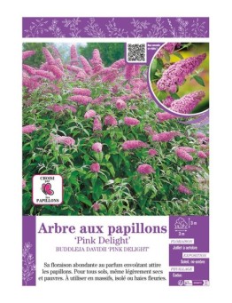 BUDDLEJA DAVIDII PINK DELIGHT voir ARBRE AUX PAPILLONS