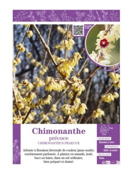 CHIMONANTHUS PRAECOX voir CHIMONANTHE PRÉCOCE