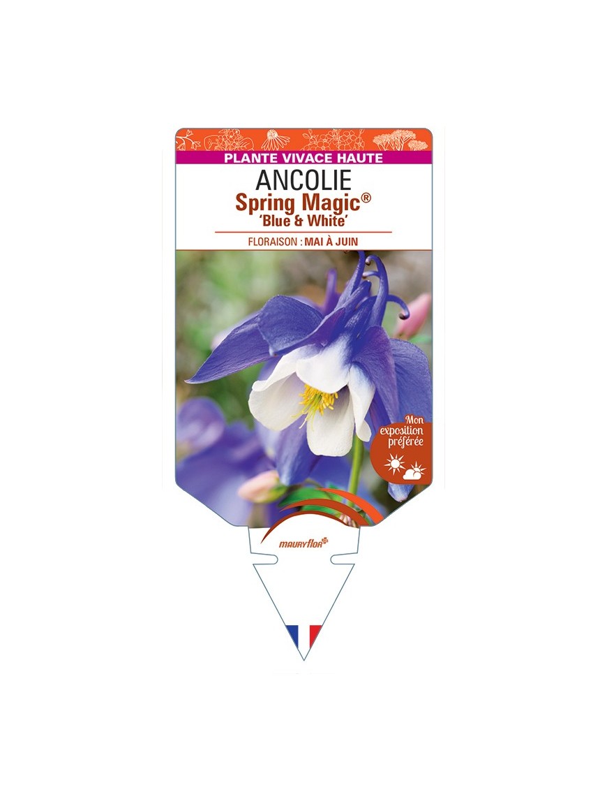 ANCOLIE Spring Magic® Blue & White