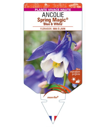 ANCOLIE Spring Magic® Blue & White