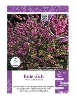 DAPHNE MEZEREUM voir BOIS-JOLI