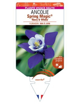 ANCOLIE Spring Magic® Navy & White