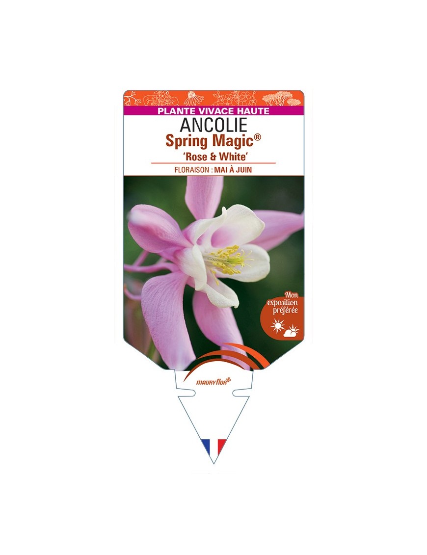 ANCOLIE Spring Magic® Rose & White