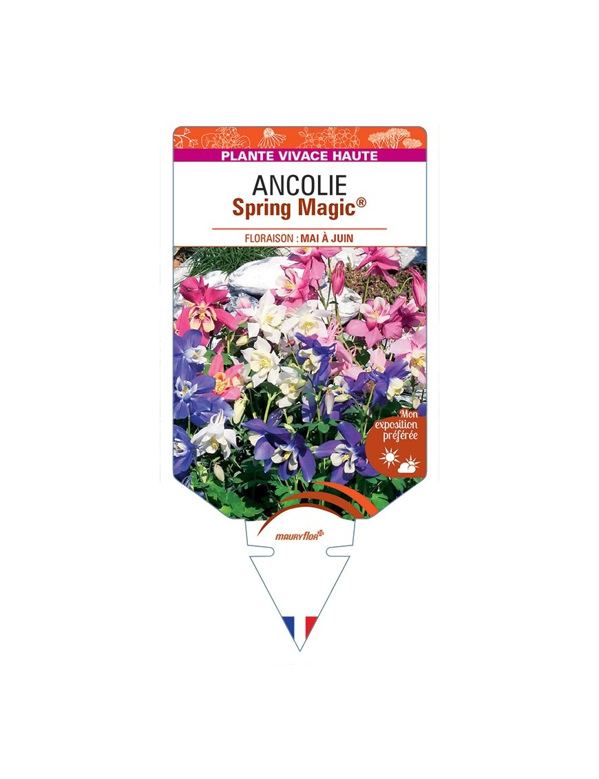 ANCOLIE Spring Magic® Variée