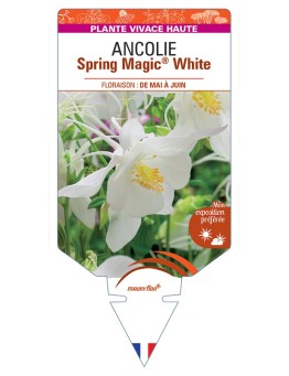 ANCOLIE Spring Magic® White