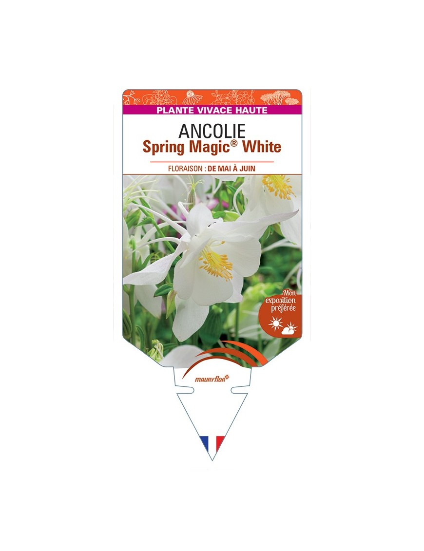 ANCOLIE Spring Magic® White