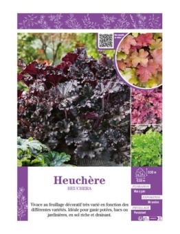 HEUCHÈRE