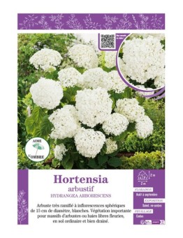 HYDRANGEA ARBORESCENS voir Hortensia arbustif