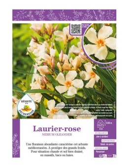 NERIUM OLEANDER voir LAURIER-ROSE (jaune)