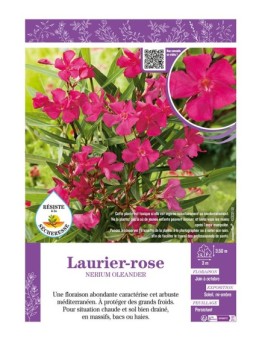 NERIUM OLEANDER voir LAURIER-ROSE (rose foncé)