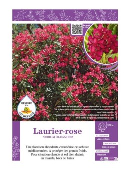 NERIUM OLEANDER voir LAURIER-ROSE (rouge)
