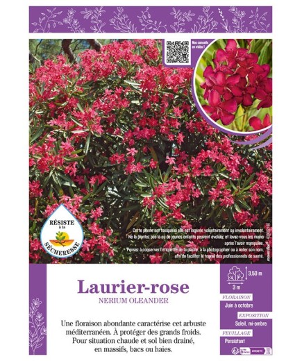 NERIUM OLEANDER voir LAURIER-ROSE (rouge)