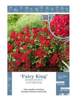 ROSIER BUISSON COUVRE-SOL FAIRY KING