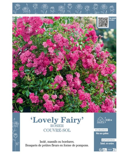 ROSIER COUVRE-SOL LOVELY FAIRY