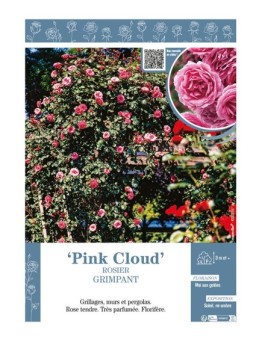 ROSIER GRIMPANT Pink Cloud