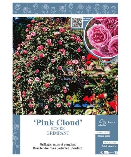 ROSIER GRIMPANT Pink Cloud