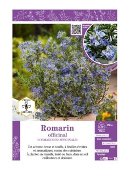 ROSMARINUS OFFICINALIS voir ROMARIN OFFICINAL