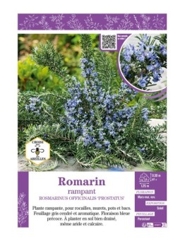 ROSMARINUS OFFICINALIS PROSTRATUS voir ROMARIN RAMPANT