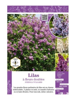 SYRINGA VULGARIS voir LILAS À FLEURS DOUBLES (varié)