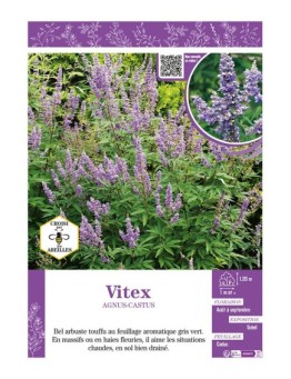 VITEX AGNUS-CASTUS