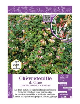 LONICERA JAPONICA CHIINENSIS voir CHÈVREFEUILLE DE CHINE