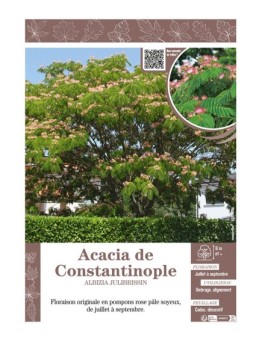 ALBIZIA JULIBRISSIN voir ACACIA DE CONSTANTINOPLE