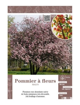 MALUS voir POMMIER À FLEURS (rose)
