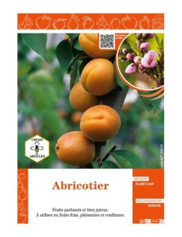 ABRICOTIER