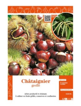 CHÂTAIGNIER GREFFÉ