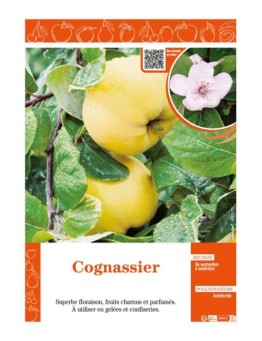 COGNASSIER