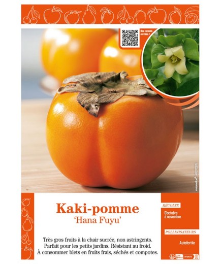 KAKI-POMME HANA FUYU