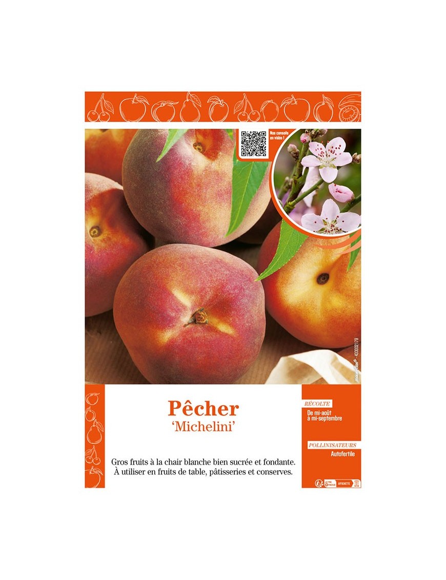 PÊCHER MICHELINI