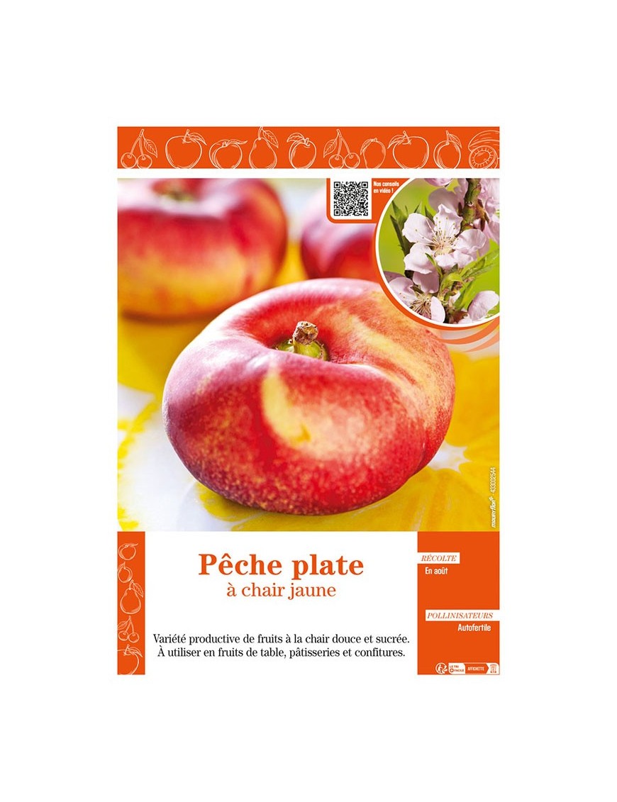 PÊCHE PLATE À CHAIR JAUNE