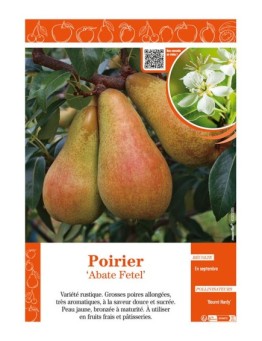 POIRIER ABATE FETEL