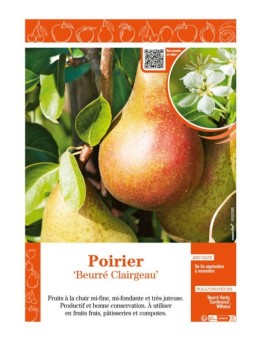 POIRIER BEURRÉ CLAIRGEAU