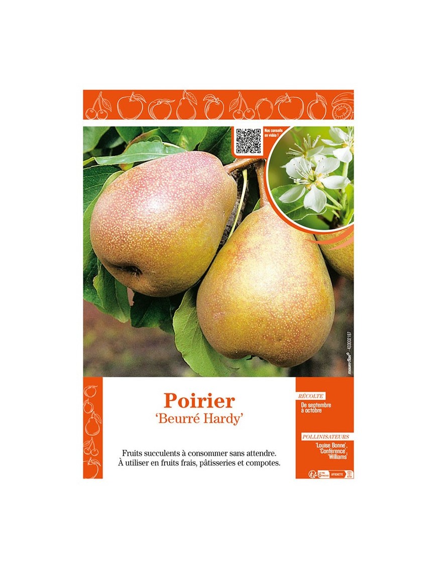 POIRIER BEURRÉ HARDY