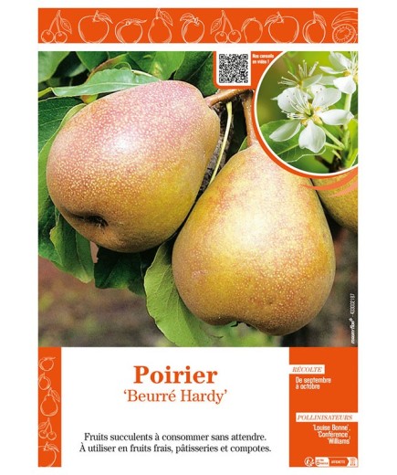 POIRIER BEURRÉ HARDY
