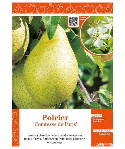 POIRIER COMTESSE DE PARIS