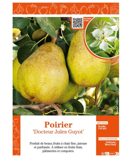 POIRIER DOCTEUR JULES GUYOT